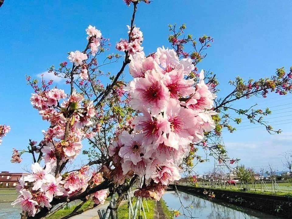 尚閤屋包棟民宿 Wujie Esterno foto