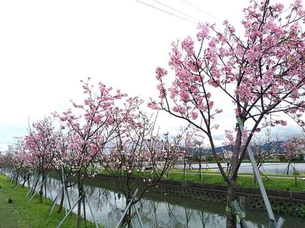 尚閤屋包棟民宿 Wujie Esterno foto
